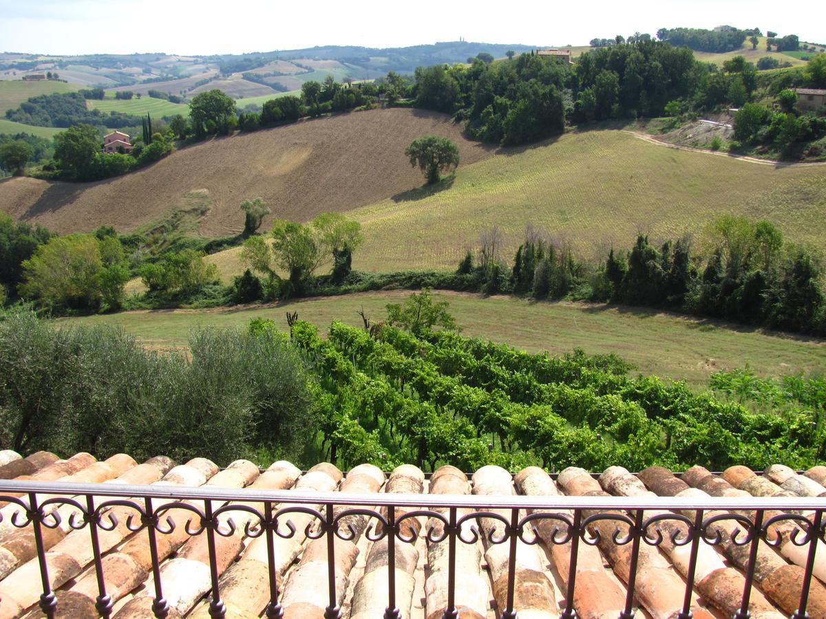 Orciano di Pesaro Agriturismo Bacchiocchi B&B 객실 사진