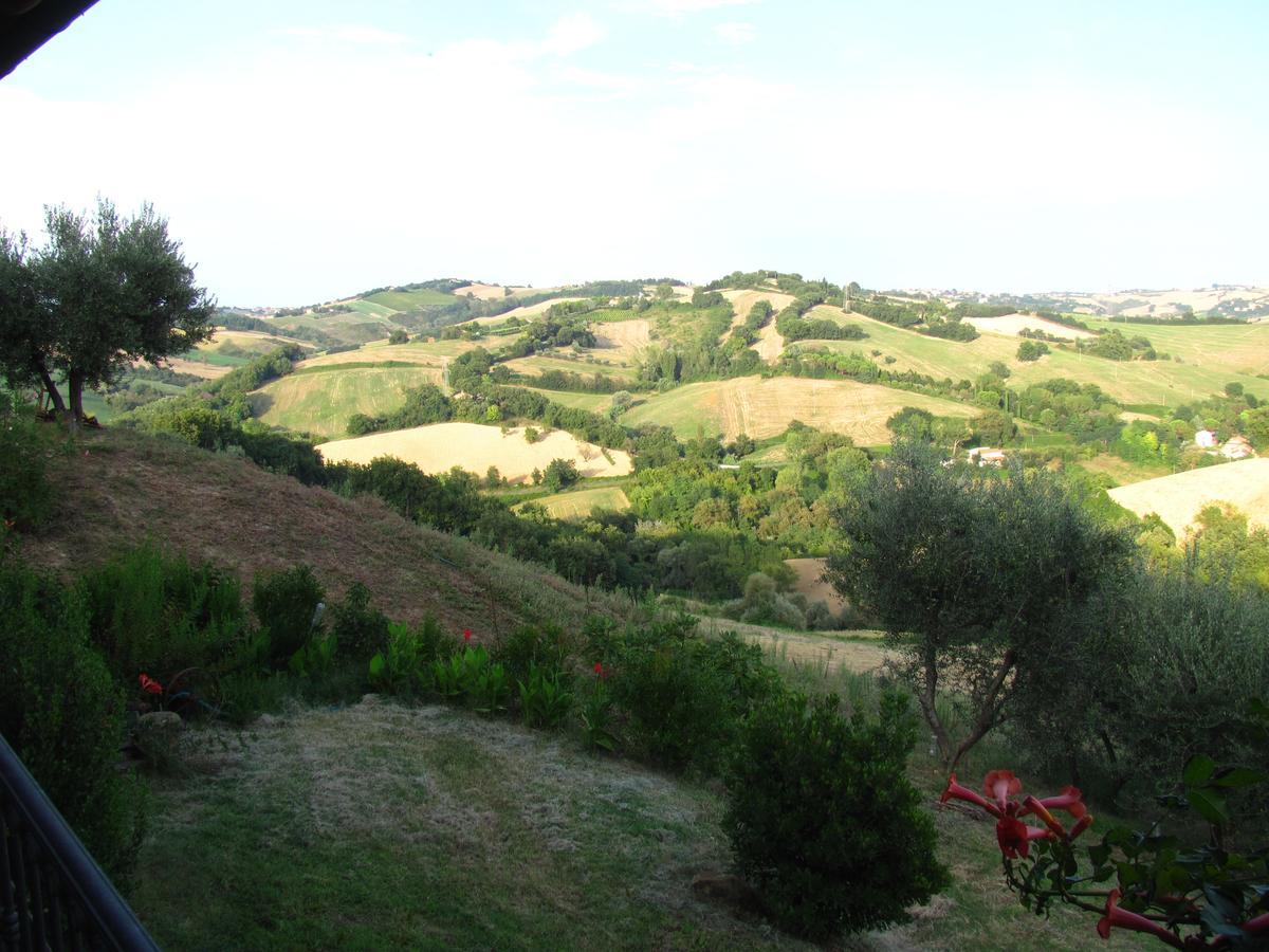 Orciano di Pesaro Agriturismo Bacchiocchi B&B 외부 사진